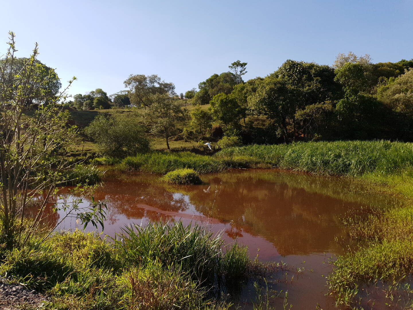 Fazenda à venda com 6 quartos, 1360m² - Foto 43