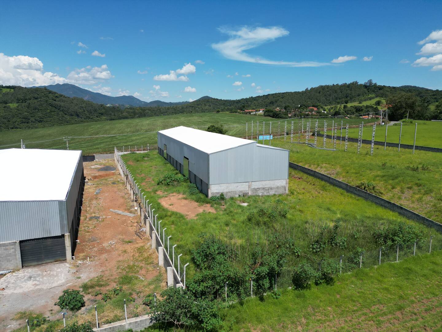 Depósito-Galpão-Armazém para alugar, 2500m² - Foto 4